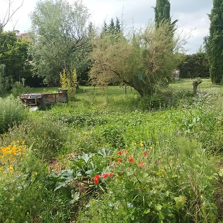 Belles D'hote, Spacieuses Et Paisibles, En Pays De Forcalquier