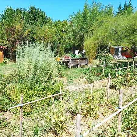 Belles D'hote, Spacieuses Et Paisibles, En Pays De Forcalquier 3*