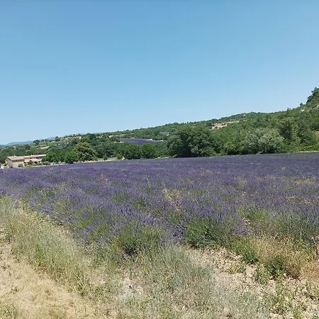 Belles D'hote, Spacieuses Et Paisibles, En Pays De Forcalquier فندق مبيت وإفطار