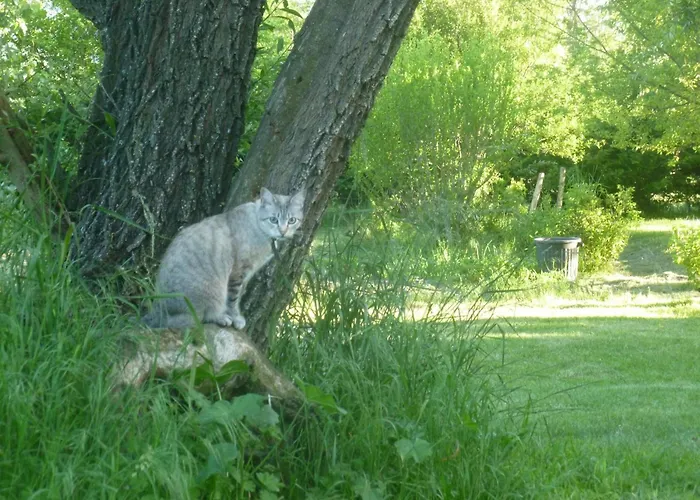 Belles D'hote, Spacieuses Et Paisibles, En Pays De Forcalquier