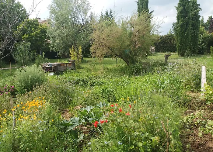 Belles D'hote, Spacieuses Et Paisibles, En Pays De Forcalquier